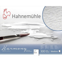 Harmony Rough 300gr 50x65cm Suluboya Kağıtı 1 Paket/10 Adet - Thumbnail